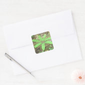 Woodsy Fern Sticker (Envelop)