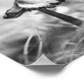 Woodsy Mushroom Black and White Nature Archival Poster (Hoek)