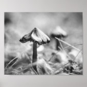 Woodsy Mushroom Black and White Nature Archival Poster (Voorkant)