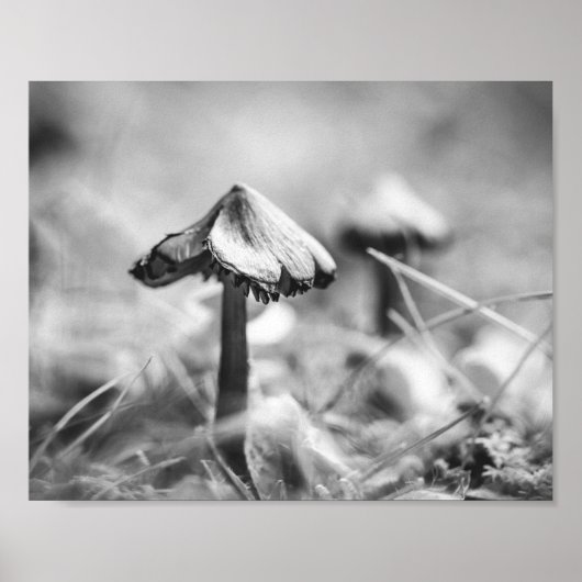 Woodsy Mushroom Black and White Nature Archival Poster (Voorkant)