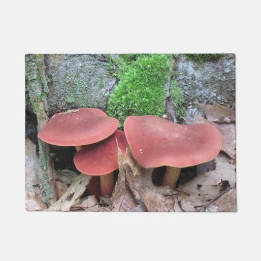 Woodsy Mushroom Deurmat (Voorkant)