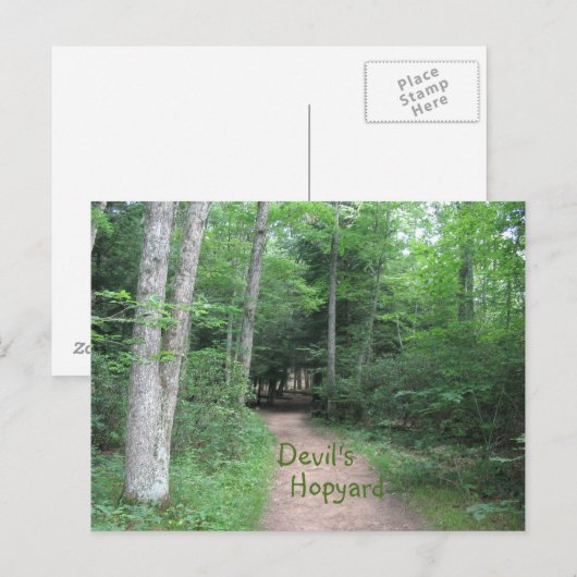 Woodsy Path Briefkaart (Voorkant / Achterkant)