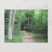 Woodsy Path Briefkaart (Voorkant)