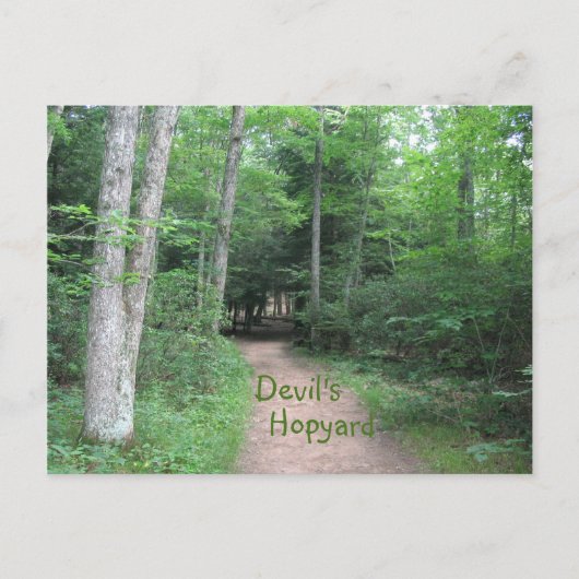 Woodsy Path Briefkaart (Voorkant)