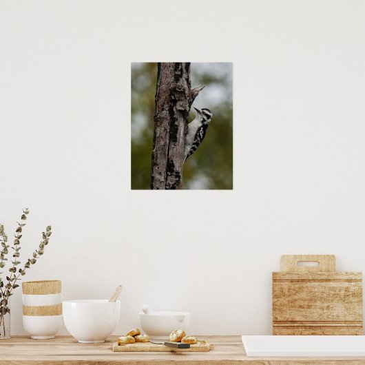 Woody Poster (Keuken)