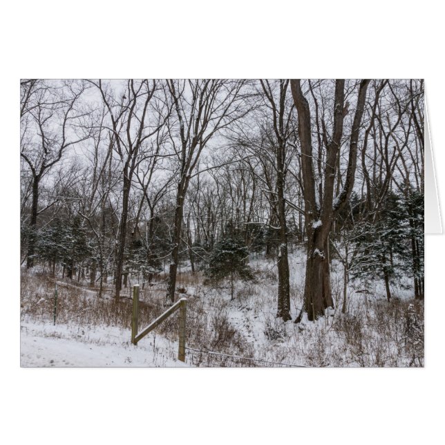 Woody Snow Day (Voorkant Horizontaal)