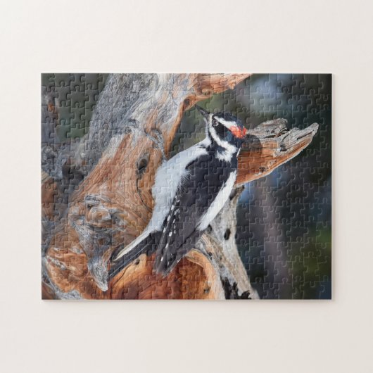 "Woody Woodpecker" in het Nationaal Park Rocky Mou Legpuzzel (Horizontaal)