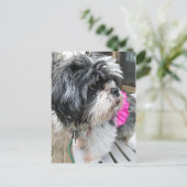 WOOF! BRIEFKAART (Staand voorkant)