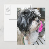 WOOF! BRIEFKAART (Voorkant / Achterkant)