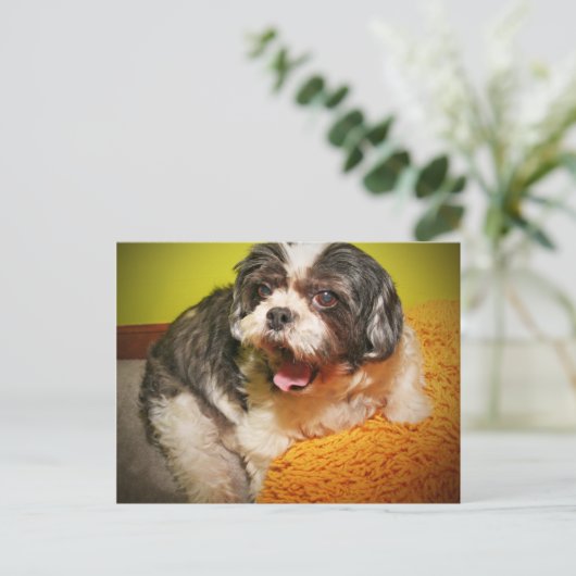 WOOF! BRIEFKAART (Staand voorkant)