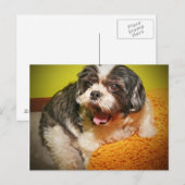 WOOF! BRIEFKAART (Voorkant / Achterkant)