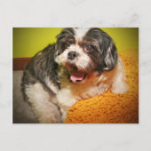 WOOF! BRIEFKAART (Voorkant)