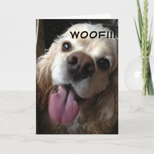 WOOF *GELUKKIGE VERJAARDAG* IN DOGGY TAAL KAART (Voorkant)