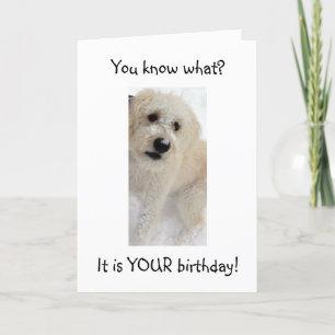 WOOF-JE KIJKT GOED VOOR "40" KAART