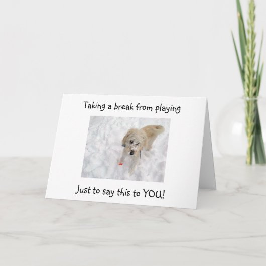 WOOF WOOF "50" ZIET ER GOED UIT OP "JIJ" VERJAARDA KAART (Voorkant)