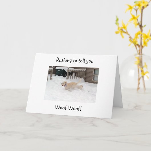 WOOF WOOF BIJ "4O" KIJK JE OP "GOED!" KAART (Gele Bloem)