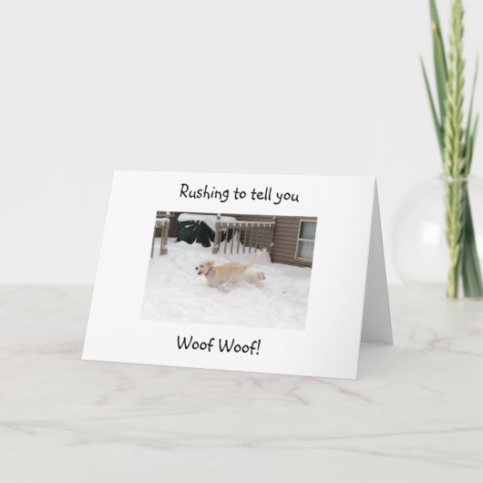 WOOF WOOF BIJ "4O" KIJK JE OP "GOED!" KAART (Voorkant)