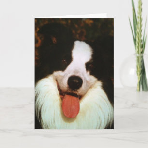 WOOF WOOF HAPPY BIRTHDAY HONEY KAART