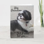 **WOOF WOOF** HAPPY *BIRTHDAY* TO MY *GRANDSON* KAART<br><div class="desc">TOT DE **BESTE GRANDSON OOIT** TOE,  MAAR IK BEN ZO BLIJ DAT U "MIJN BROEDER" BENT!!!! BEDANKT VOOR EEN VAN MIJN ACHT STORES!!!</div>