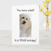 WOOF WOOF-JE ZIET ER GOED UIT VOOR 40 KAART (Gele Bloem)