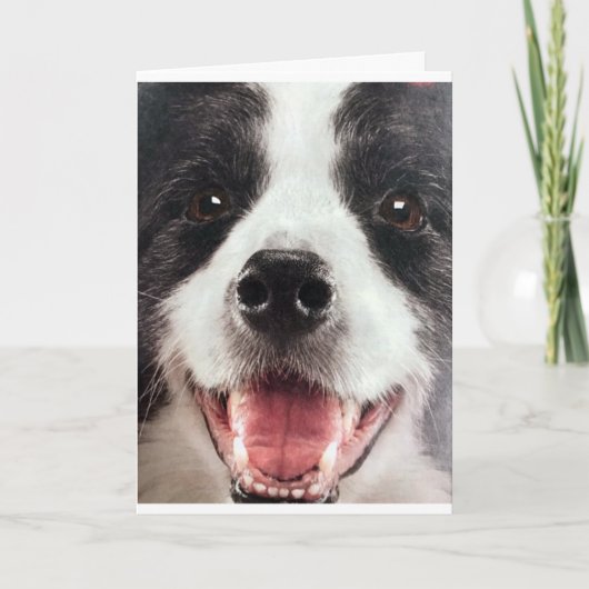 WOOF WOOF OF MET ANDERE WOORDEN ** GELUKKIGE VERJA KAART (Voorkant)