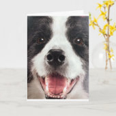 WOOF WOOF OF MET ANDERE WOORDEN ** GELUKKIGE VERJA KAART (Gele Bloem)