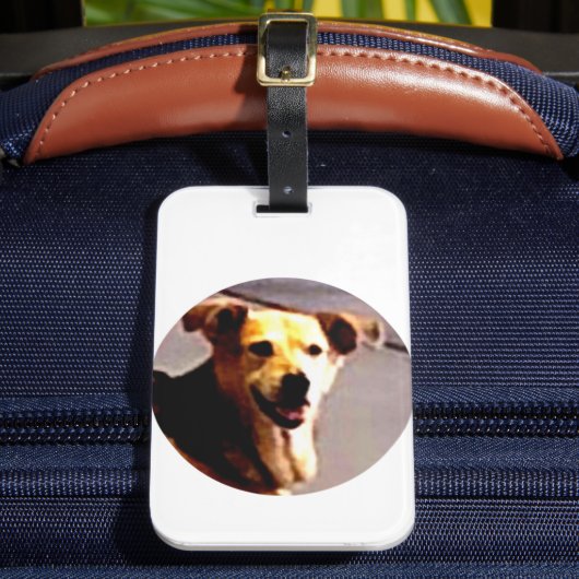 Woofs N' Wags  Bagagelabel (Voorkant Insitu 2)