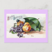 Wooing Chicks en Violets  Pasen Feestdagenkaart (Voorkant)