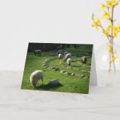 Woolly Labyrinth: Schapen grazen in een pastorale  Kaart (Gele Bloem)