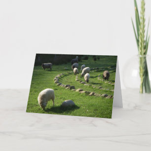 Woolly Labyrinth: Schapen grazen in een pastorale Kaart