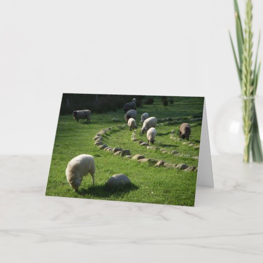 Woolly Labyrinth: Schapen grazen in een pastorale  Kaart (Voorkant)
