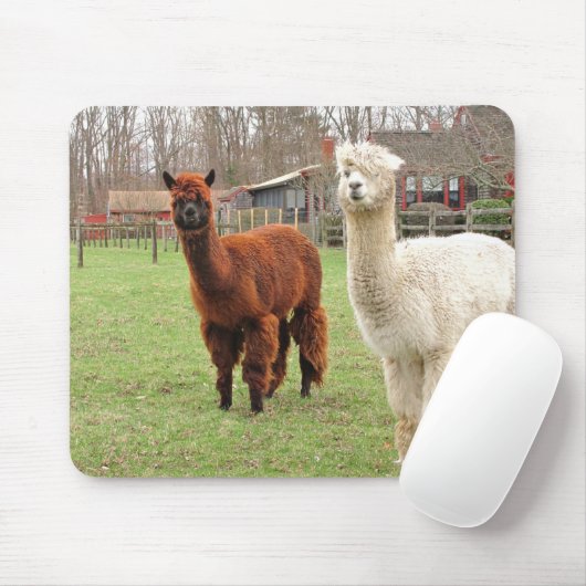 Wooly Alpacas ~ mousepad Muismat (Met muis)