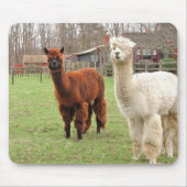 Wooly Alpacas ~ mousepad Muismat (Voorkant)