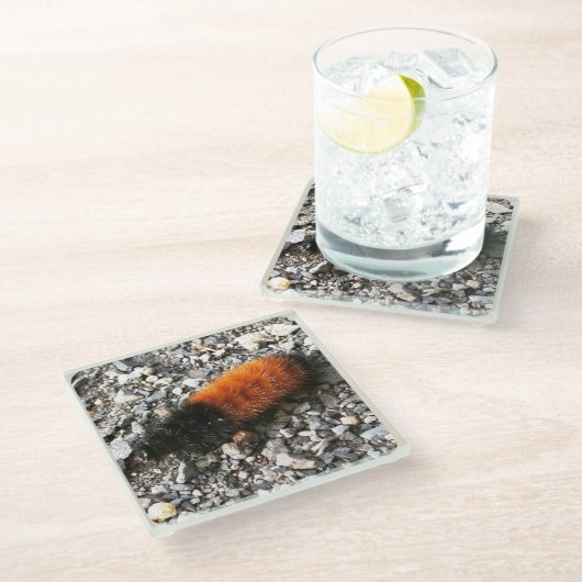 Wooly Beer Caterpijler Glazen Onderzetter (Schuin)