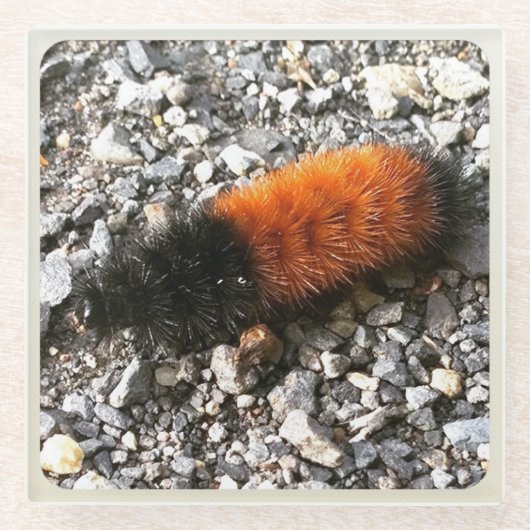 Wooly Beer Caterpijler Glazen Onderzetter (Voorkant)