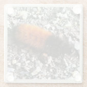 Wooly Beer Caterpijler Glazen Onderzetter (Achterkant)