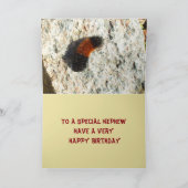 Wooly Beer Caterpijler Kaart (Binnen)