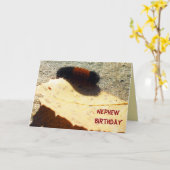 Wooly Beer Caterpijler Kaart (Gele Bloem)