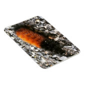 Wooly Beer Caterpijler Magneet (Rechterzijde)