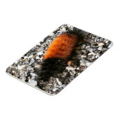 Wooly Beer Caterpijler Magneet (Linkerzijde)