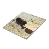 Wooly Beer Caterpijler Tegeltje (Zijkant)