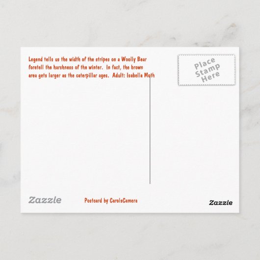 Wooly Beer Caterstrand Briefkaart (Achterkant)