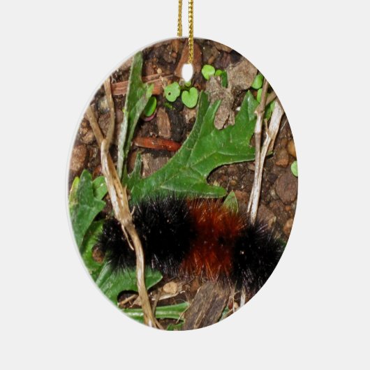 Wooly Beer Caterwall - foto Keramisch Ornament (Rechts)