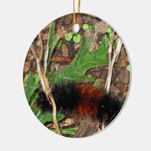 Wooly Beer Caterwall - foto Keramisch Ornament (Links)