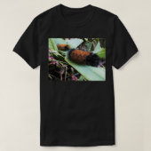 Wooly-Beren T-shirt (Design voorkant)
