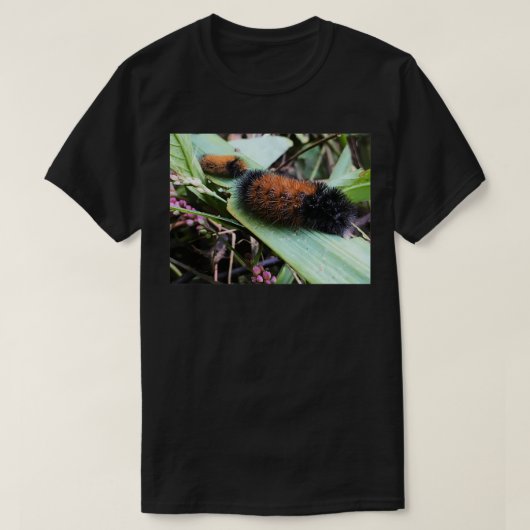 Wooly-Beren T-shirt (Design voorkant)