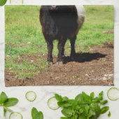 Wooly Black en White Galloway Koe Theedoek (Gevouwen)