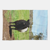 Wooly Black en White Galloway Koe Theedoek (Horizontaal)