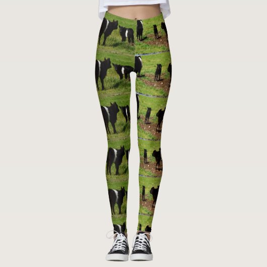 Wooly Black White Belted Galloway Koe Leggings (Voorkant)