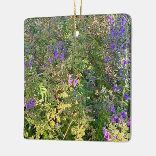 Wooly Bluecurls Keramisch Ornament (Links)